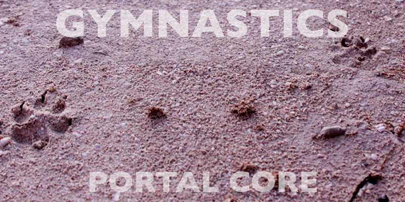 Gymnastics - Portal Core
