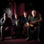 Yellowjackets © Roberto Cifarelli